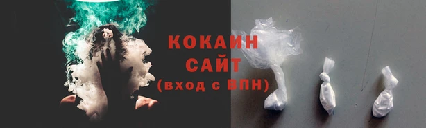 амф Осташков